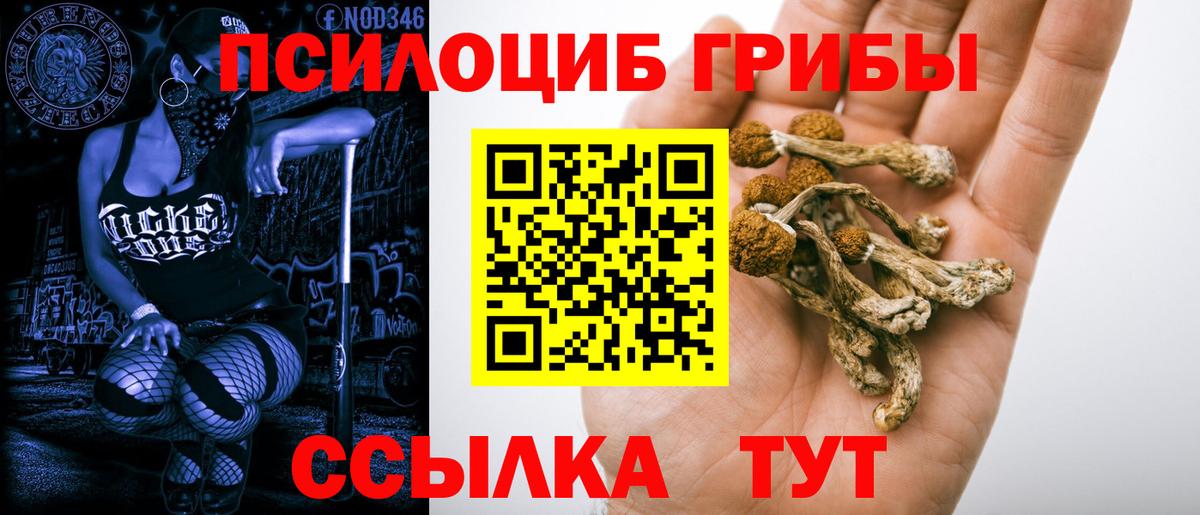 Галлюциногенные грибы прущие грибы Красногорск