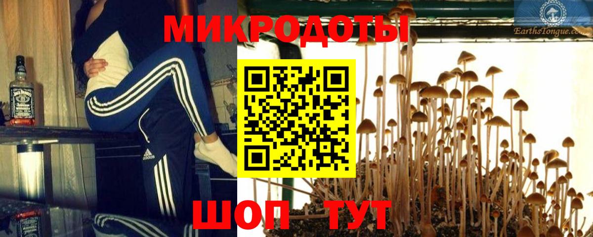 Псилоцибиновые грибы прущие грибы  Псилоцибиновые грибы GOLDEN TEACHER  Вход с VPN  Красногорск 